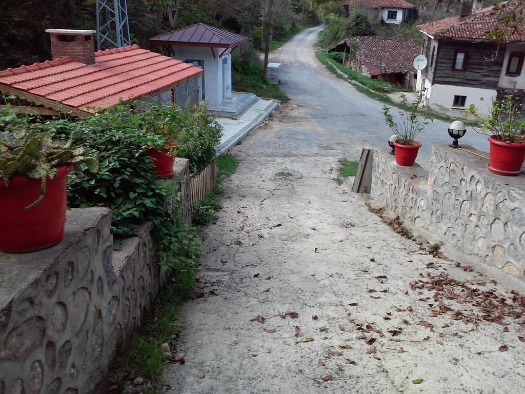 Ekoland Hotel Агва Экстерьер фото